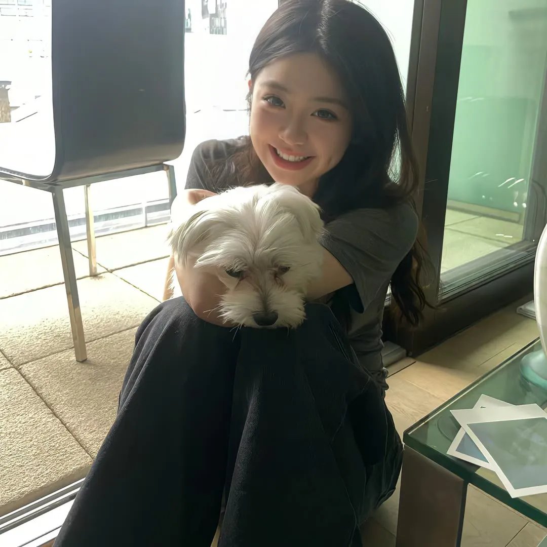 完美求婚